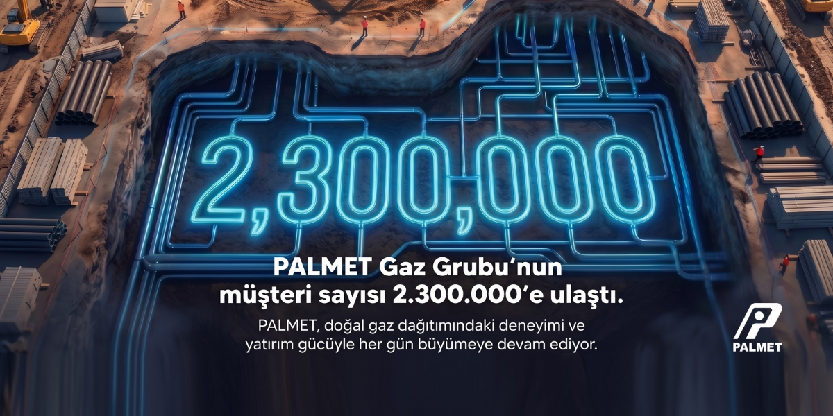 Palmet_gazgrubu_musteri_sayisi_2300000_4.png
